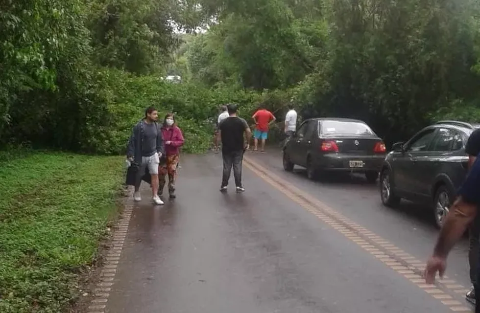 Temporal causó la caída de un árbol sobre la ruta 101 camino al aeropuerto de Puerto Iguazú
