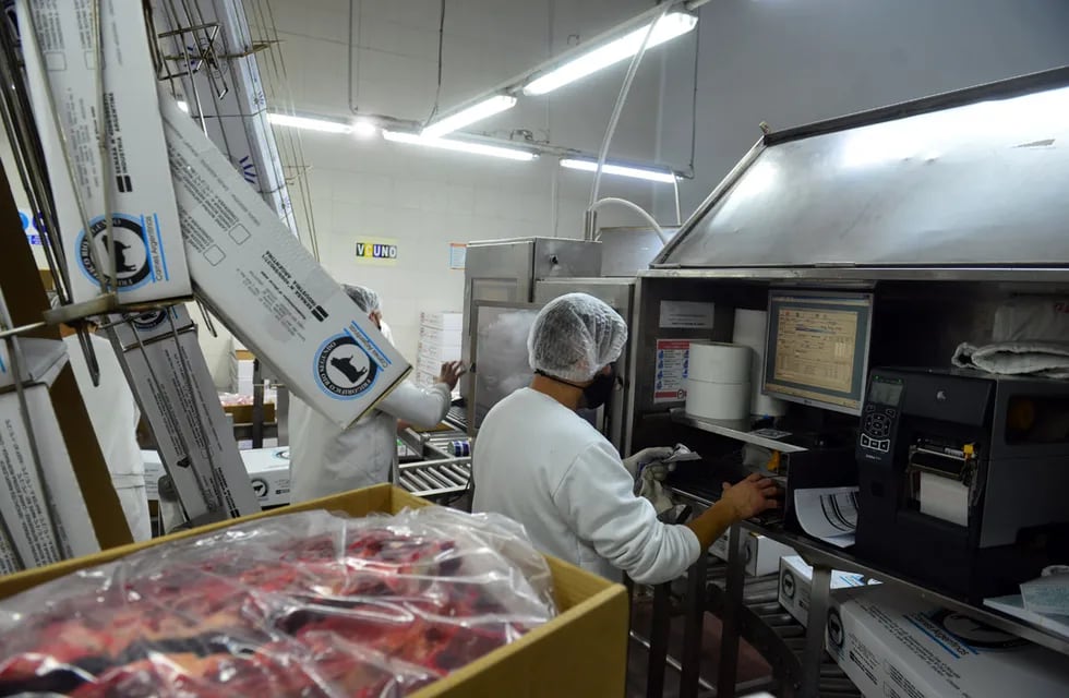 Operarios llevan a cabo la faena, despostado y cortado de medias reses, cámara frigorífica, carne de exportación. (Foto: Nicolás Bravo)
