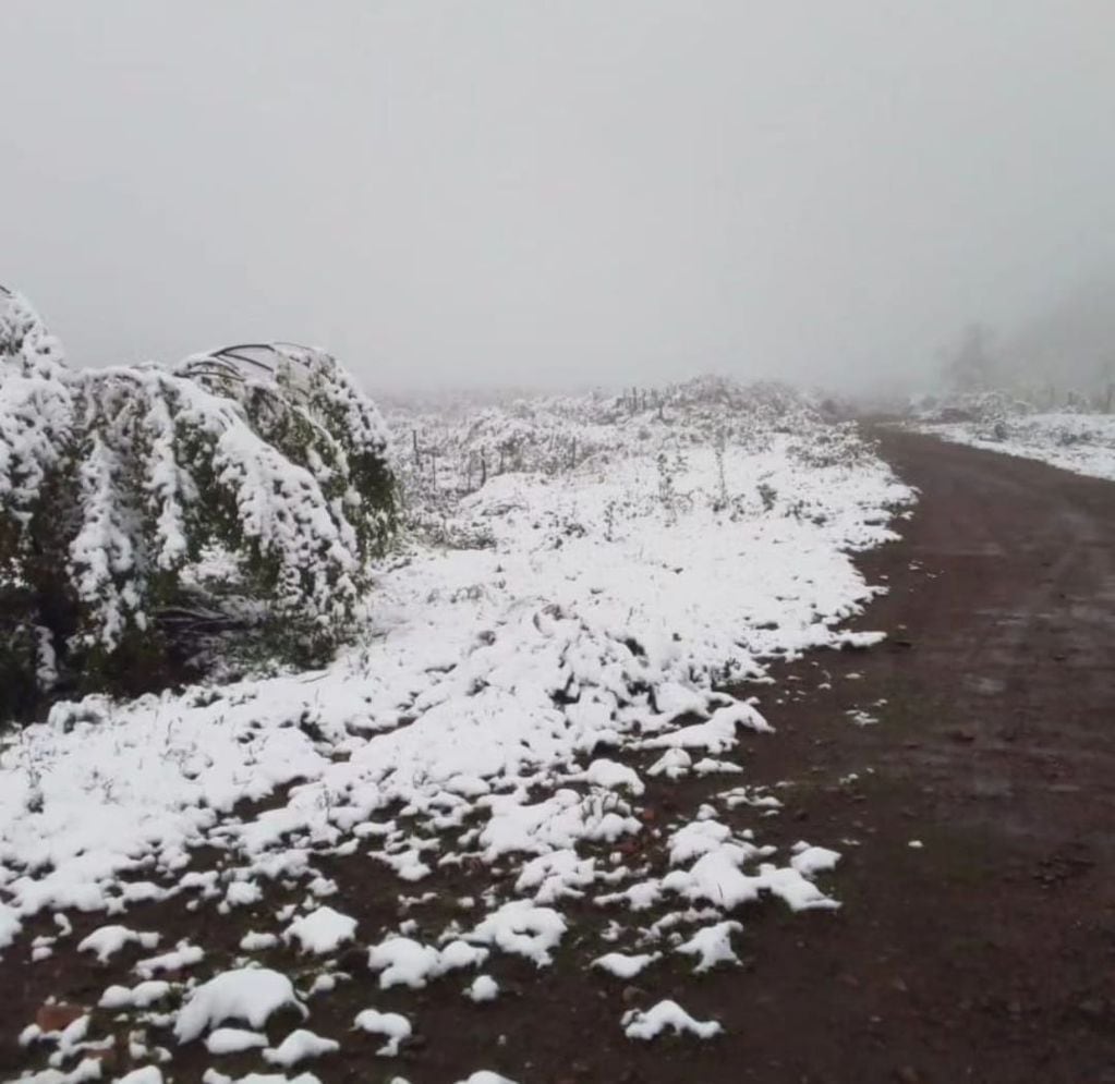 Nevó en Manzano Histórico