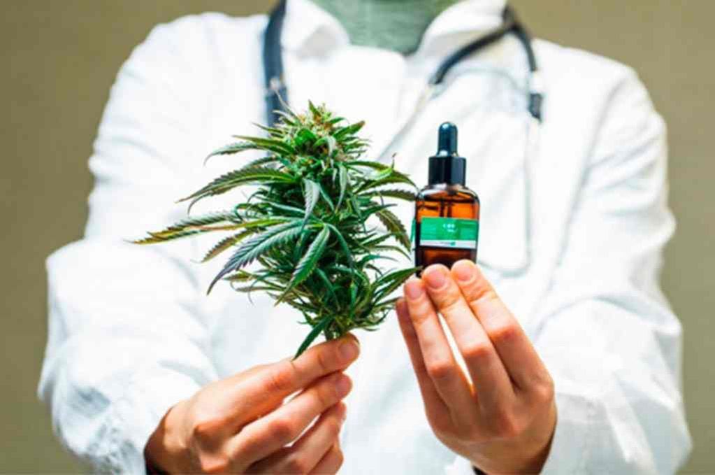 1° Encuentro Informativo Concientizador sobre Cannabis Medicinal.