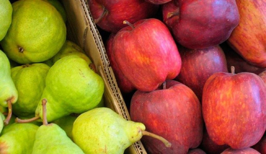 Exportación de peras y manzanas (web).