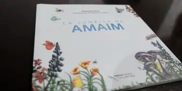 Libro infantil "La Sonrisa de Amaim"