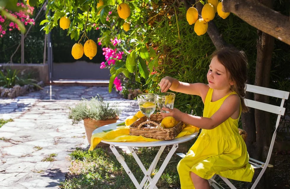 A little girl in a bright yellow dress sits at a white table in the shade under a lemon tree in the garden and drinks fresh lemon. Antibes, France