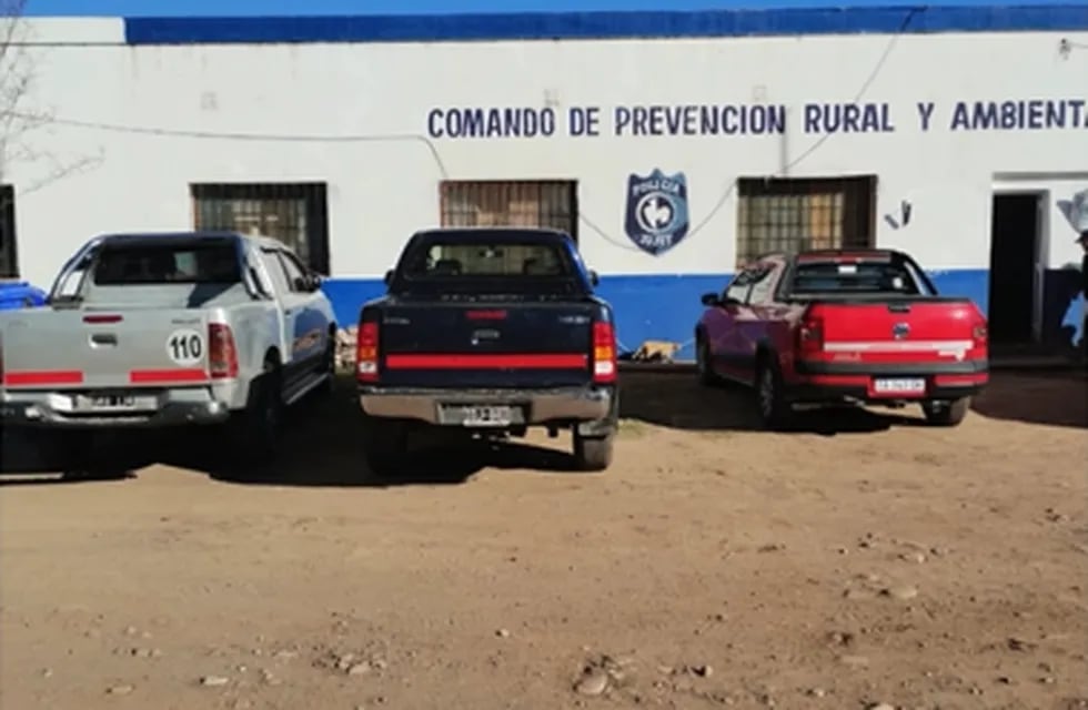 Unidades de diferentes marcas y modelos componen el conjunto de vehículos cuyo origen la Justicia de Jujuy busca determinar.