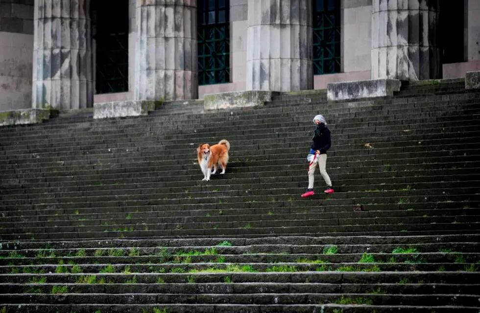 A woman walks her dog in Buenos Aires on July 18, 2020 a day after Argentina's government announced it was relaxing coronavirus containment measures in the capital to fight the COVID-19 pandemic. - From Monday, non-essential businesses, industry and certain professional activities can restart and citizens will also be allowed to go outside for sport and to visit places of worship. (Photo by Alejandro PAGNI / AFP)
