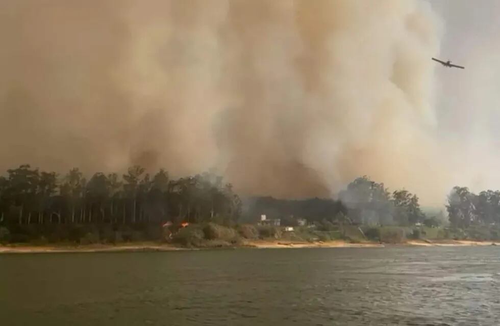 El fuego en Corrientes es imparable y envían más ayuda a la provincia.