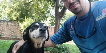 Eldorado: un dogo mató a otro perro y causa preocupación en el barrio