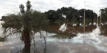 El crecimiento de río Uruguay obligará en las próximas horas a evacuar a Paso de los Libres.