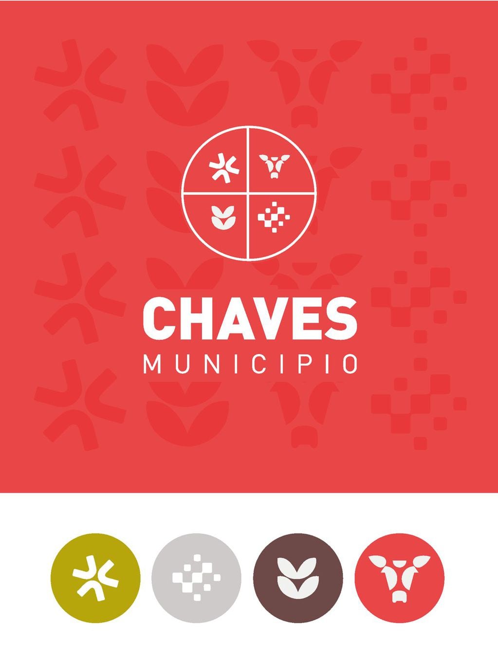 Municipio Chaves