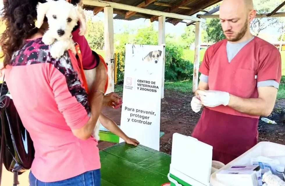 Realizarán operativo veterinario de zoonosis en Eldorado.