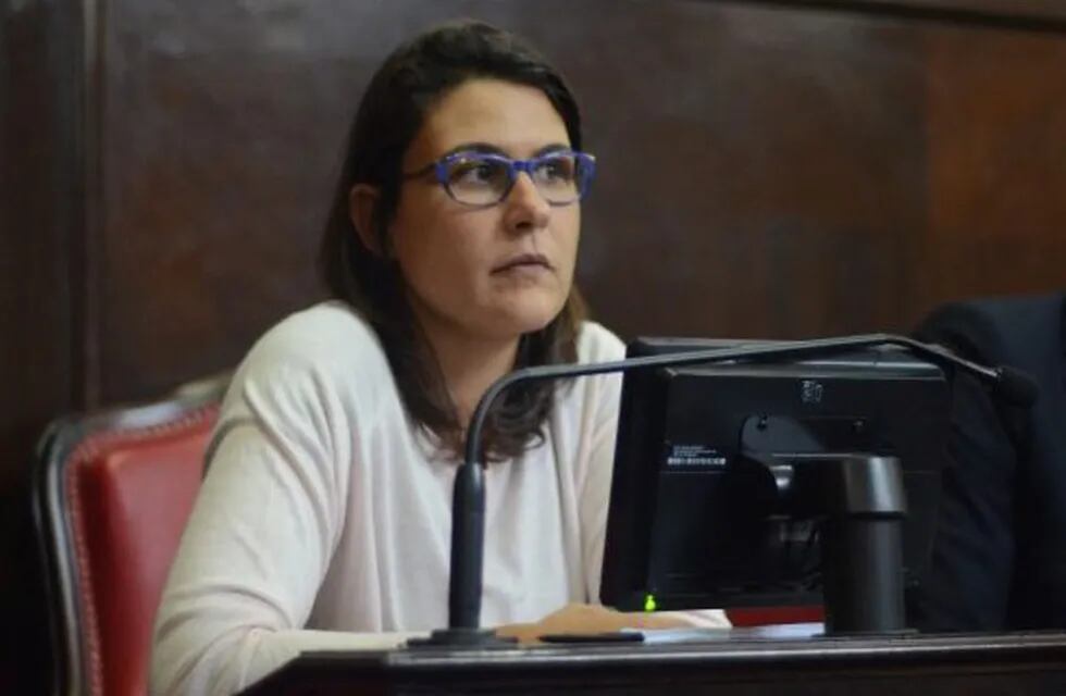 Cecilia Comerio repudió las detenciones a militantes pro aborto. (Archivo)