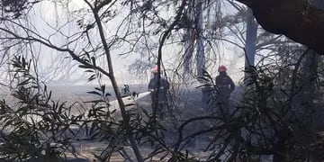 Un incendio fue controlado por los bomberos en el ingreso a Claromecó