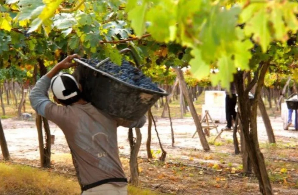 Los trabajadores de viñas y bodegas pidieron un 21% de aumento
