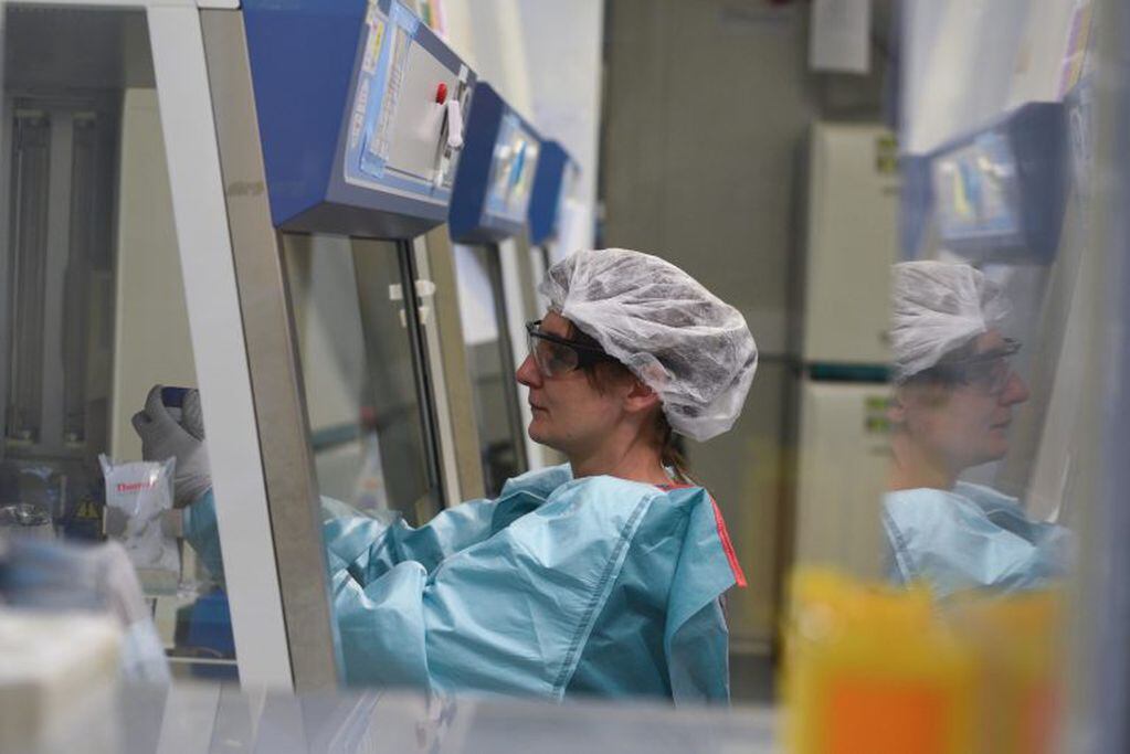 Una científica trabajando en el desarrollo de una vacuna contra el coronavirus en el Instituto Pasteur, en París (Foto: Mehdi Chebil/DPA)