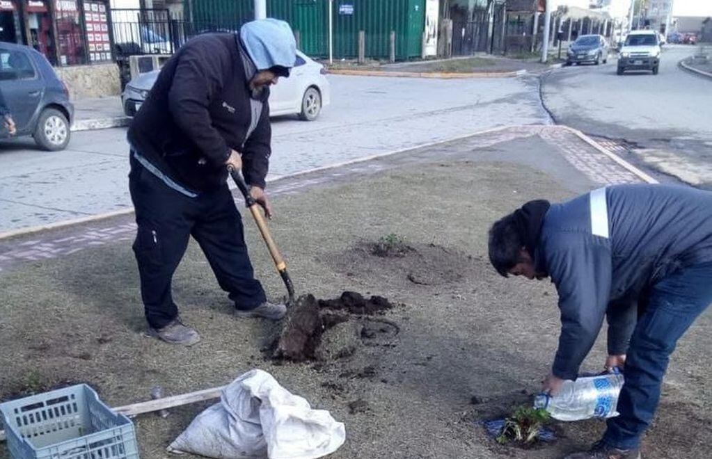 La Municipalidad comenzó el mantenimiento de espacios verdes