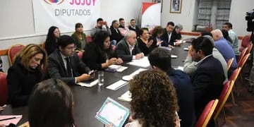 Comisión de Educación, Legislatura de Jujuy