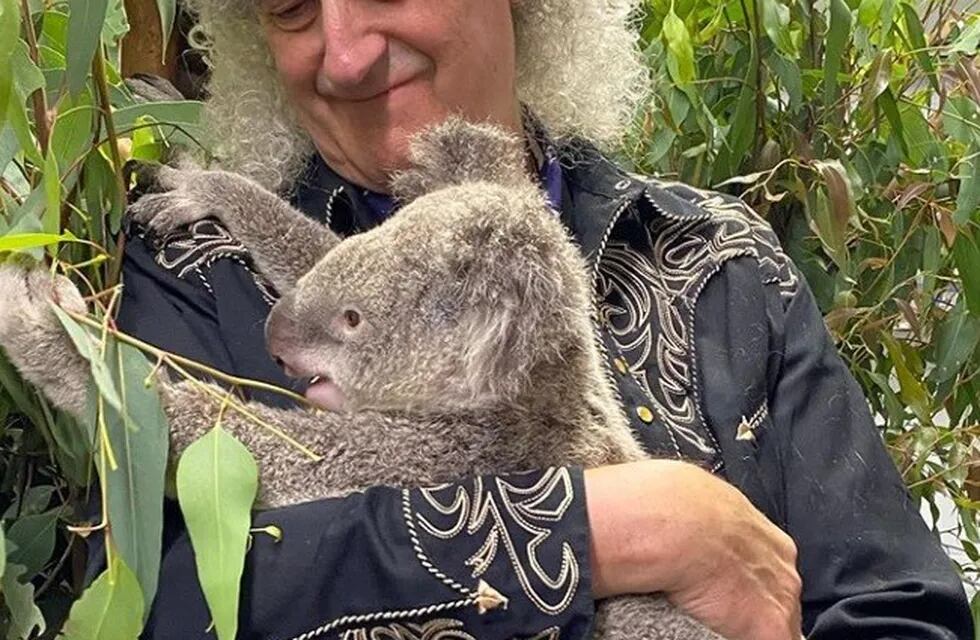 Brian May con un koala rescatado.