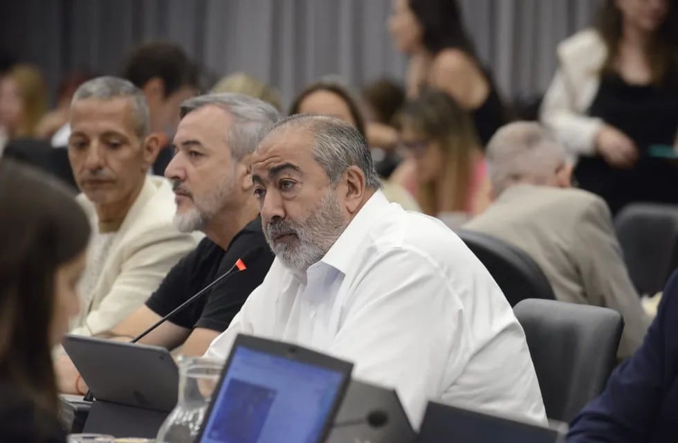 Héctor Daer, secretario general de la CGT, en la Cámara de Diputados. Foto: HCDN