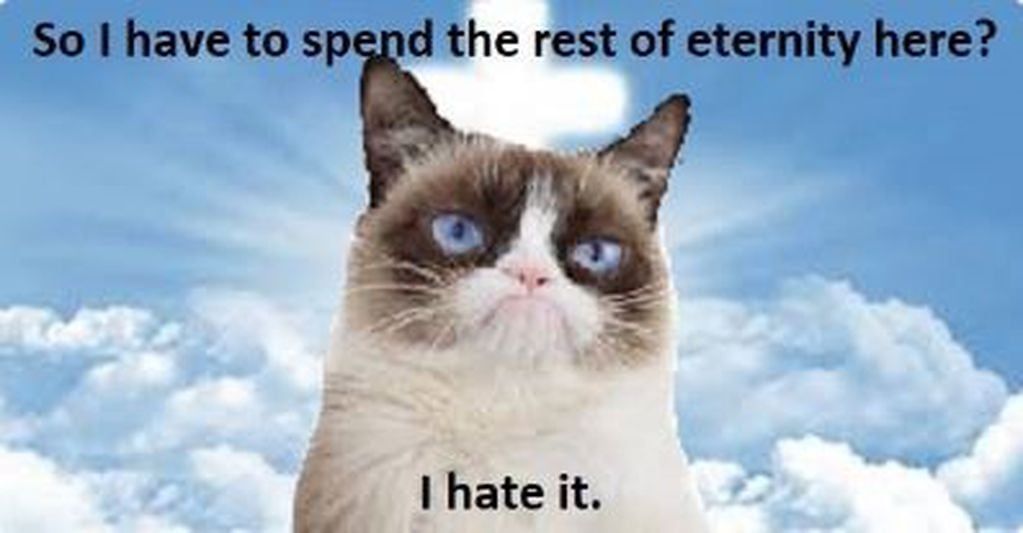 "¿Entonces, tengo que pasar el resto de la eternidad aquí? Lo odio", escribió una usuaria sobre la foto del gato gruñón. (Twitter: @RealGrumpyCat)