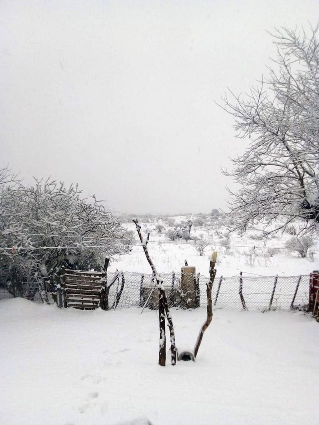 El norte cordobés en San Pedro y Tulumba se vio sorprendido por una intensa nevada este jueves.