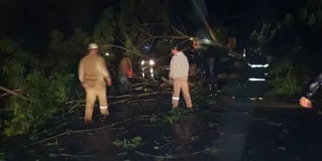 Más de 20 viviendas afectadas en Montecarlo por la tormenta