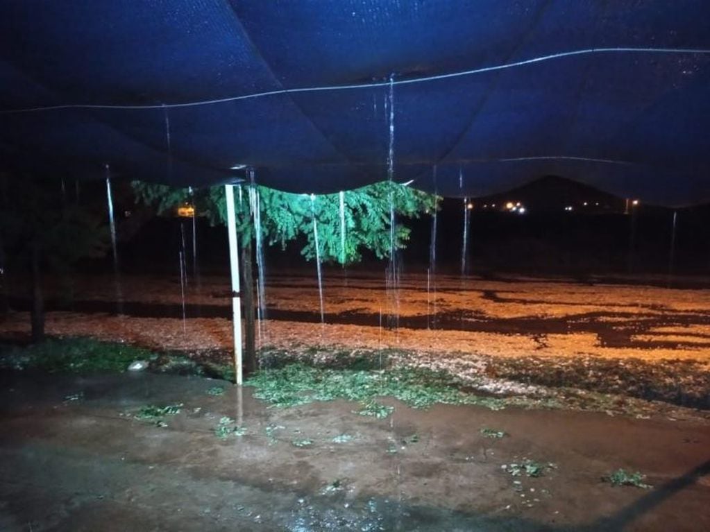 Fuerte tormenta de lluvia y granizo afectó al Sur mendocino.