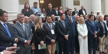 Unión de Parlamentarios Sudamericanos y del Mercosur