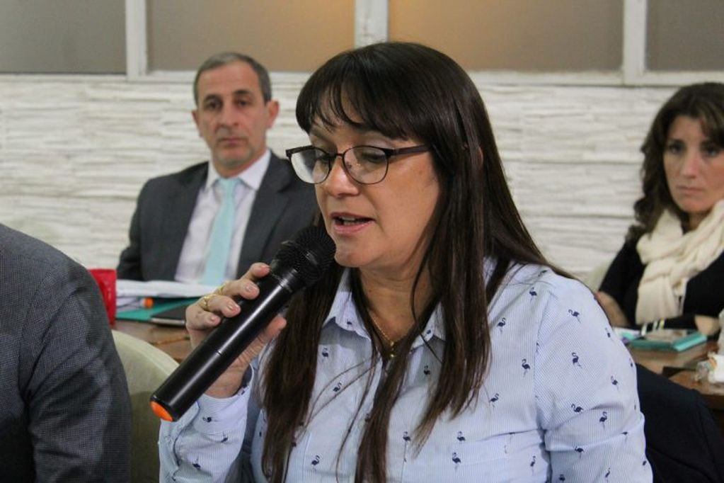 Monica Ricciardi, preside la comisión de Hacienda del HCD