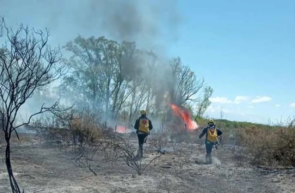 Diversos focos de incendio preocupan autoridades en el valle de Uco.