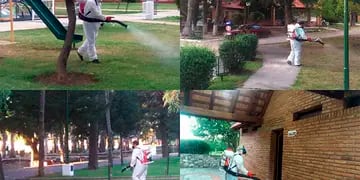 Fumigan parques pr el dengue