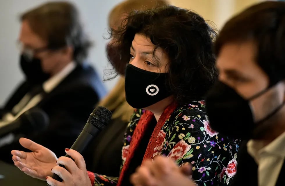Carla Vizzotti en el marco del Consejo Federal de Salud. (Foto: Prensa)