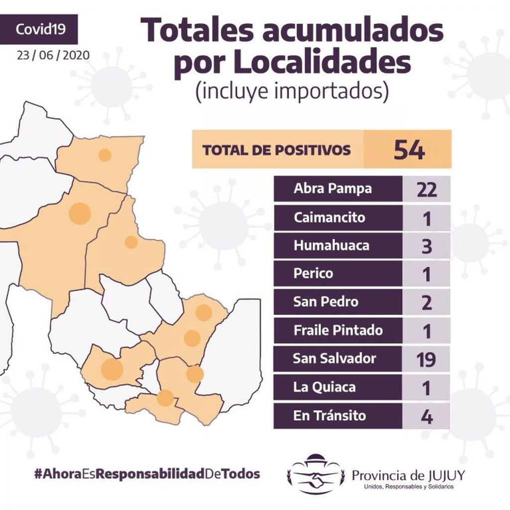 Gráfico que muestra la distribución geográfica de los casos positivos de Covid-19 en Jujuy.