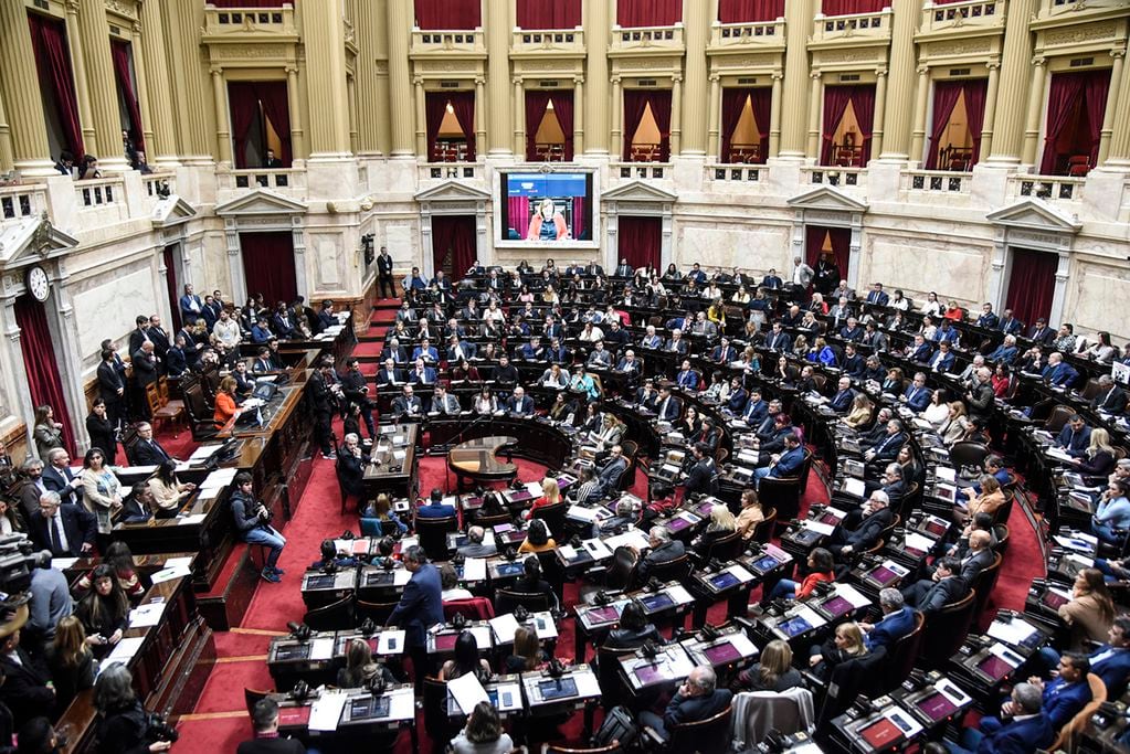 La Ley de Alquileres tuvo media sanción este miércoles. Foto: Prensa Diputados