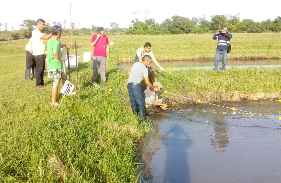 Capacitación en producción acuícola en la comunidad Yryapú.