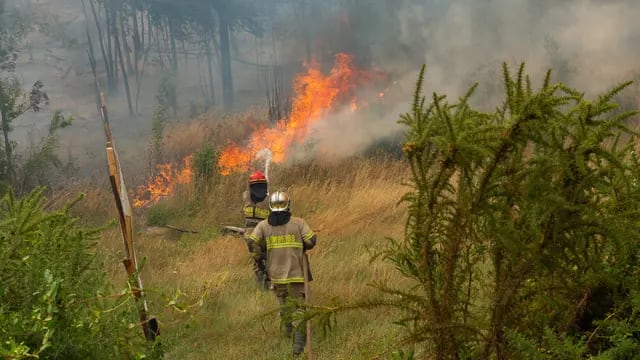 Chile confirma 2 nuevos fallecidos en incendios y balance asciende a 15