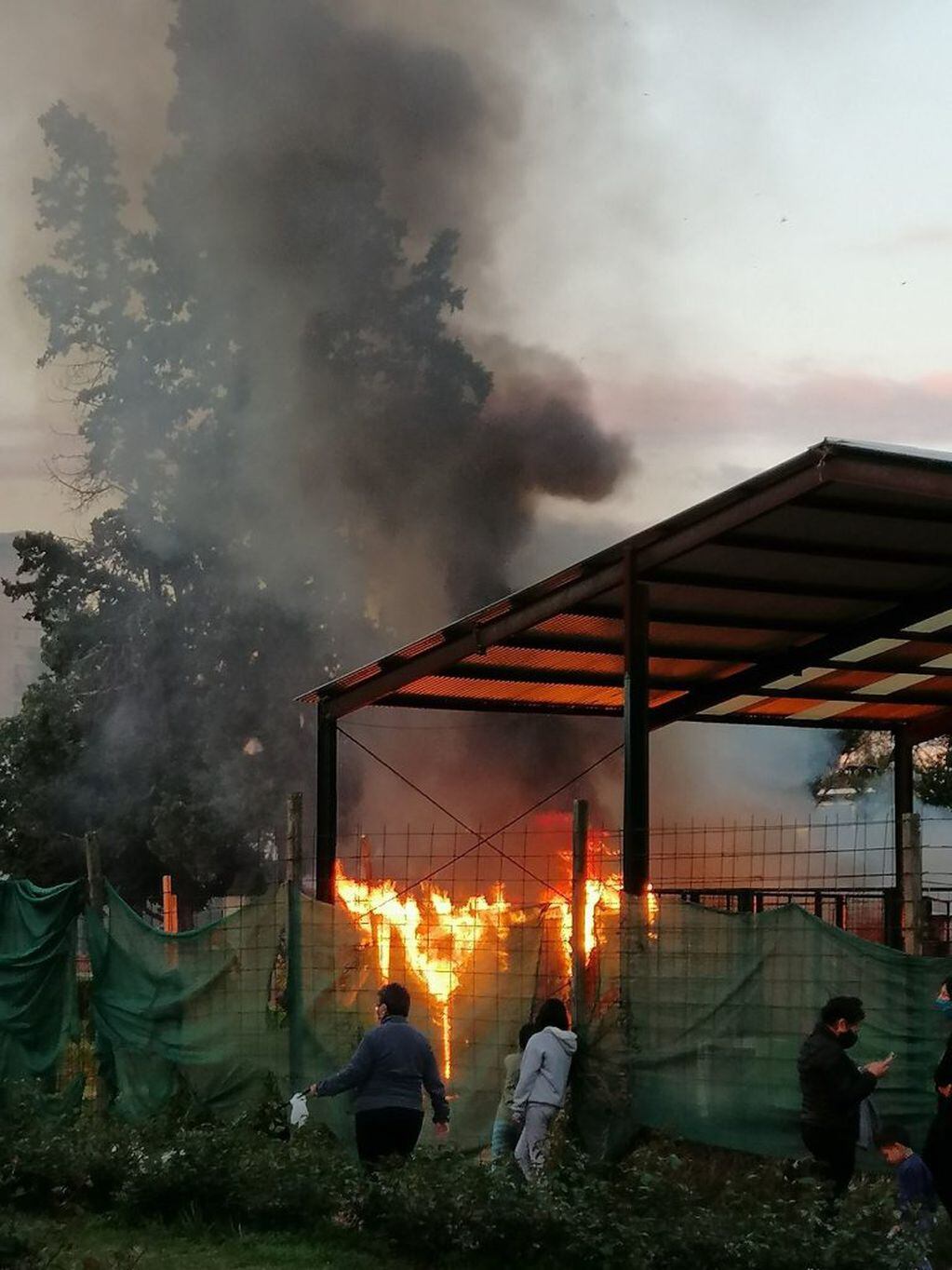 Incendio en el Rosedal en pleno parque Independencia. (twitter: @ghelguera)