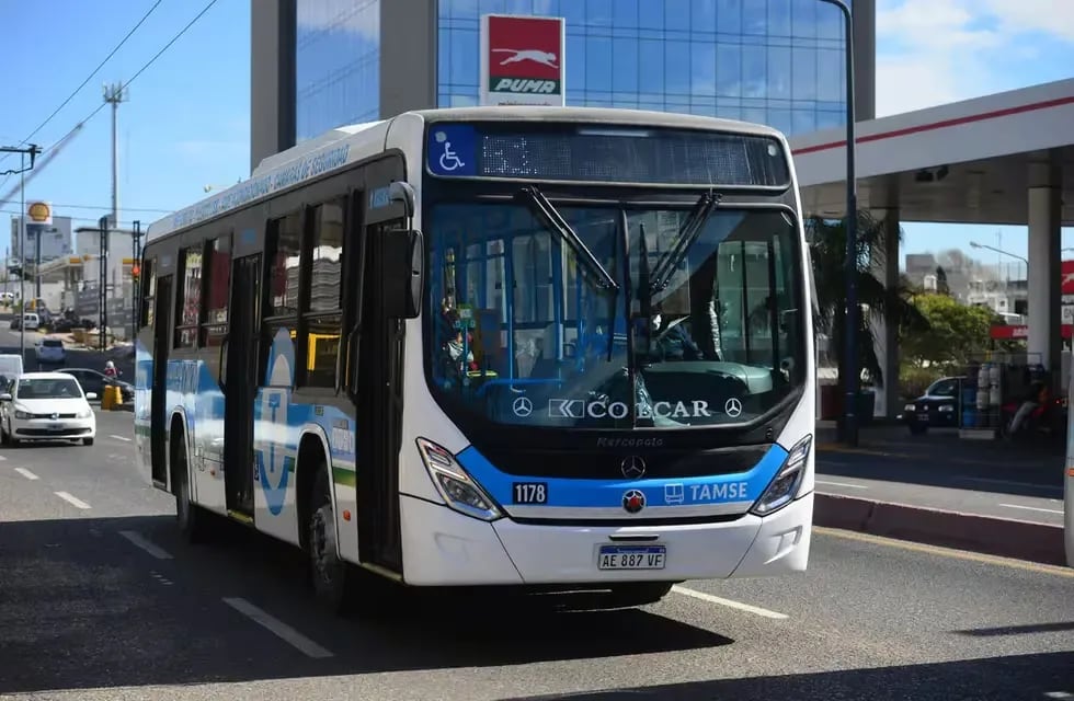 La Municipalidad de Córdoba informó la incorporación de 150 colectivos para el sistema de transporte urbano de la ciudad.