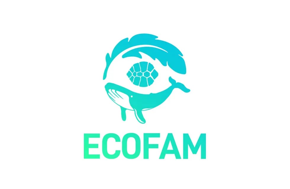 Capacitación sobre Fauna Costera de ECOFAM en Claromecó
