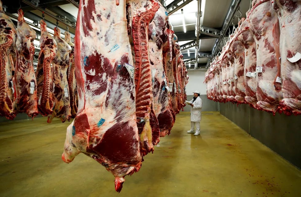 Exportaciones récord de carne en setiembre y octubre