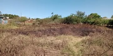 Puerto Iguazú: incendio de pastizales casi causa una catástrofe