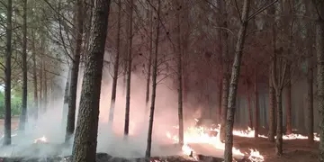 Lamentablemente, uno de los focos ígneos arribó a la Reserva Salto Encantado