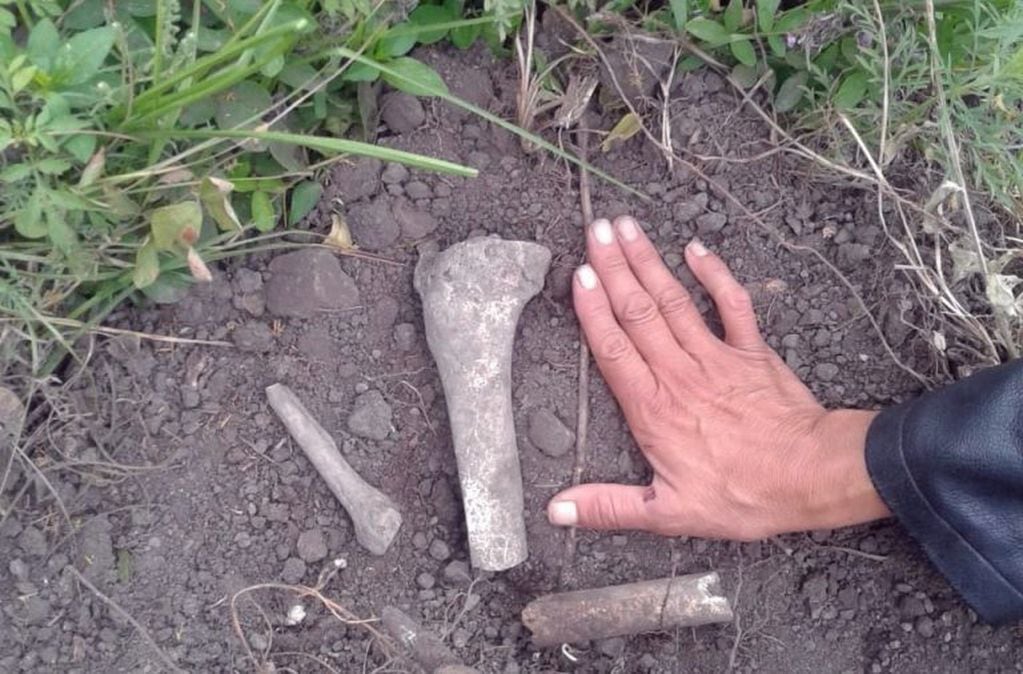 Los restos oseas humanos encontrados.