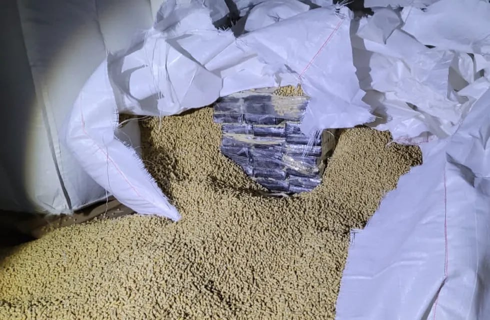 Secuestraron más de 1.500 kilos de cocaína escondidos en un galpón de Rosario.