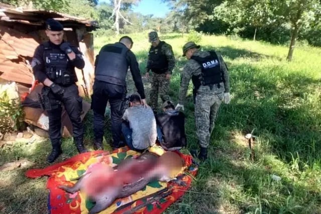 Dos cazadores fueron detenidos cuando faenaban a un carpincho en Candelaria