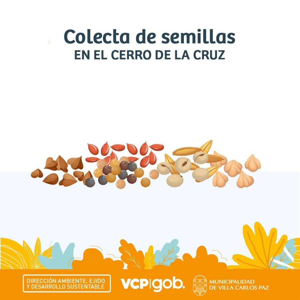 "Colecta de semillas de especies nativas" en Carlos Paz.