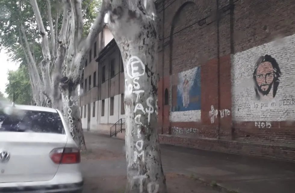 Los árboles tenían inscripciones que fueron borradas 24 horas después. (@manejamejor)