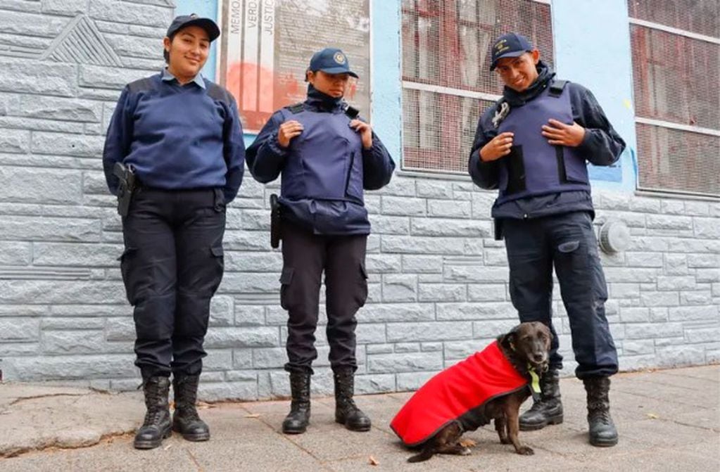 "La Juana", la perra policía de Cipolletti acompaña a los oficiales en sus tareas.