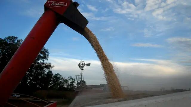 Andres Larrovere / Los Andes  Especialistas indicaron que algunos productos se pueden adaptar a la provincia.