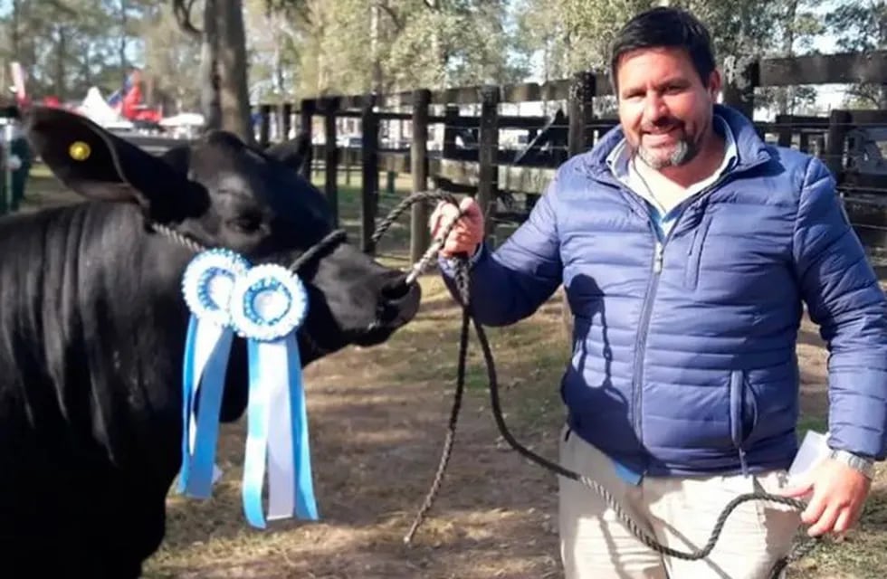 Vaca campeona valuada en $500.000 que estaba a punto de parir fue faenada por cuatreros. (Web).