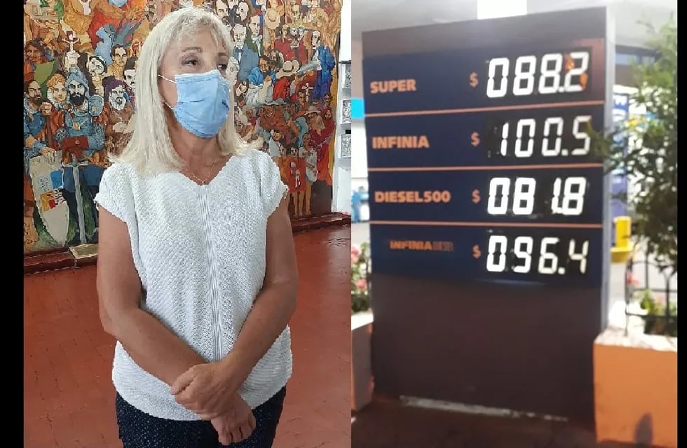 La diputada Liliana Fellner objetó el precio que tienen los combustibles en Jujuy, donde con el más reciente aumento la nafta superó los 100 pesos por litro.